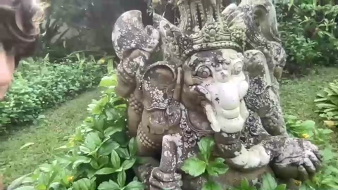 jungleliving333  10-12-2022